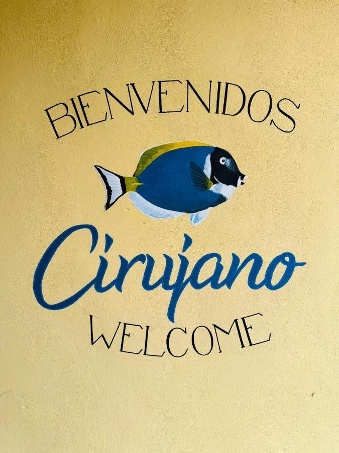 Bungalow Cirujano Lejlighed Cabo Pulmo Eksteriør billede